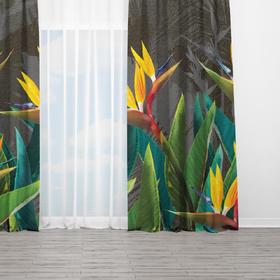 Curtains «Tropical flowers strelitzia dark»