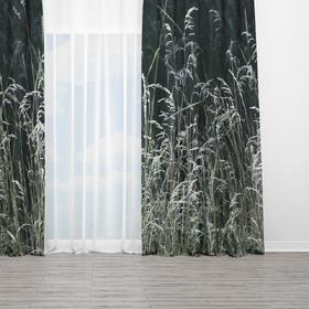 Curtains «Meadow Grass»