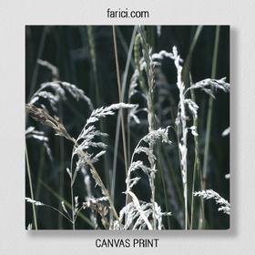 Canvas print Meadow Grass