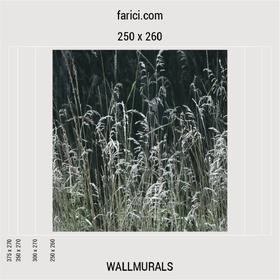 WallMural «Meadow Grass»
