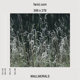 WallMural «Meadow Grass»