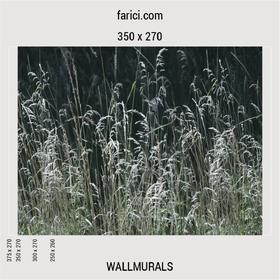 WallMural «Meadow Grass»