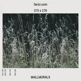 WallMural «Meadow Grass»