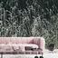 WallMural Meadow Grass photo