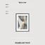 Art print «Plexus» photo