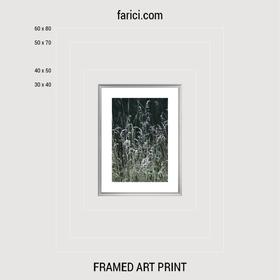 Framed art print Meadow Grass