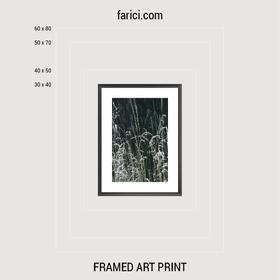 Framed art print Meadow Grass
