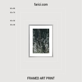 Framed art print Meadow Grass