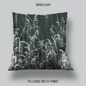 Pillow Meadow Grass