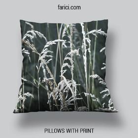 Pillow Meadow Grass