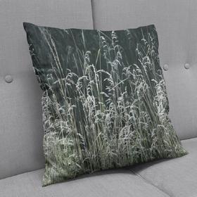 Pillow Meadow Grass