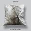 Pillow Abstract Background with Transparent Leaf photo