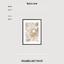 Art print «Abstract Composition of Dandelions» photo