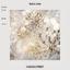 Canvas print Abstract Composition of Dandelions photo