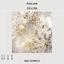 WallMural Abstract Composition of Dandelions photo
