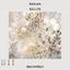 WallMural Abstract Composition of Dandelions photo