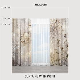 Curtains Abstract Composition of Dandelions