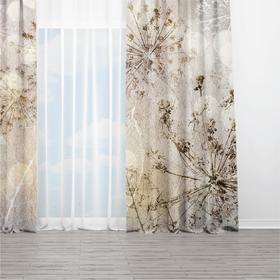 Curtains Abstract Composition of Dandelions