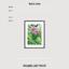 Art print «Bright Tropic» photo