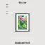 Art print «Bright Tropic» photo
