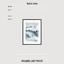 Art print «Foggy Forest» photo