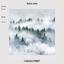 Canvas print Foggy Forest photo