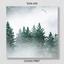 Canvas print Foggy Forest photo