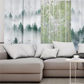 Curtains Foggy Forest
