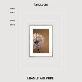 Framed art print Lucky Dandelion