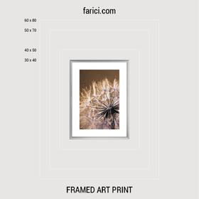 Framed art print Lucky Dandelion