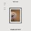 Art print «Lucky Dandelion» photo