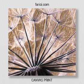Canvas print Lucky Dandelion