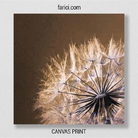 Canvas print Lucky Dandelion