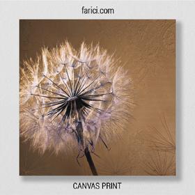 Canvas print Lucky Dandelion