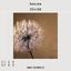 WallMural Lucky Dandelion photo