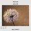 WallMural Lucky Dandelion photo