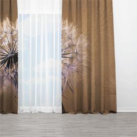Curtains Lucky Dandelion