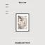 Art print «Spring Tree Brown» photo