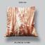 Pillow Rays of the Sun photo