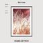 Art print «Rays of the Sun» photo