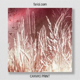 Canvas print Rays of the Sun