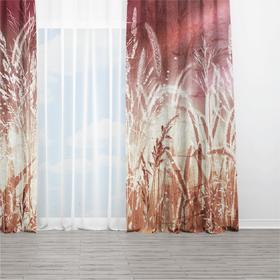 Curtains Rays of the Sun