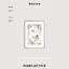 Art print «Banana tropic» photo