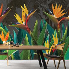 WallMural «Tropical flowers strelitzia dark»