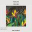 WallMural Tropical flowers strelitzia dark photo