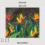 WallMural Tropical flowers strelitzia dark photo