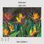 WallMural Tropical flowers strelitzia dark photo