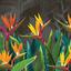 WallMural Tropical flowers strelitzia dark photo