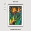 Art print «Tropical flowers strelitzia dark» photo