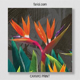 Canvas print Tropical Flowers Strelitzia Dark